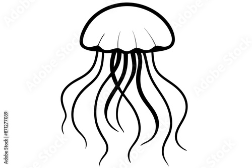 jellyfish line art silhouette vector illustration