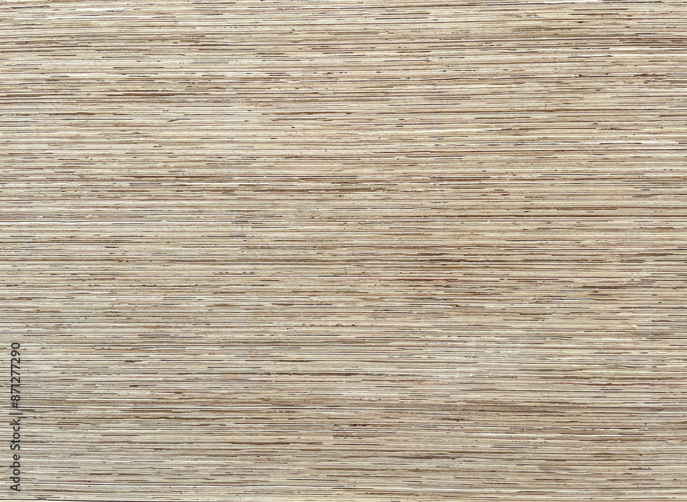 Wood lumber, texture, cross sections, close-up
Wood lumber, texture, cross sections, close-up