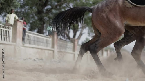 Horses Take Off.