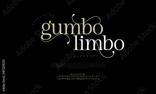 Gumbo premium luxury elegant alphabet letters and numbers. Vintage wedding typography classic serif font decorative vintage retro. creative vector illustration