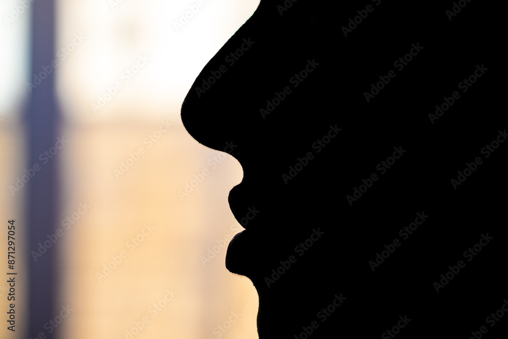 Silhouette of a woman's face in profile on blurred background Silhouette of a woman's face in profile on blurred background