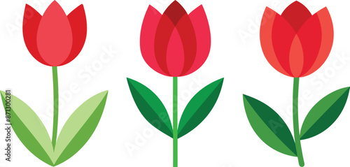 illustration of tulip flower set