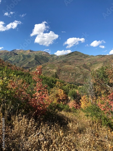 Wasatch County
Utah