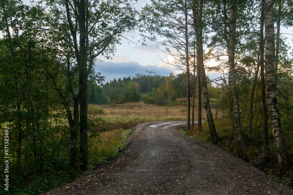 Obraz premium View of a country road through the autumn forest near the village of Lumivaara on a sunny autumn day, Ladoga Skerries, Lahdenpohya, Republic of Karelia, Russia