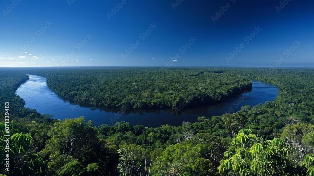 panoramic view of the Amazon rainforest, showcasing the vast expanse of dense foliage and winding rivers under a clear blue sky Generative AI panoramic view of the Amazon rainforest, showcasing the vast expanse of dense foliage and winding rivers under a clear blue sky Generative AI