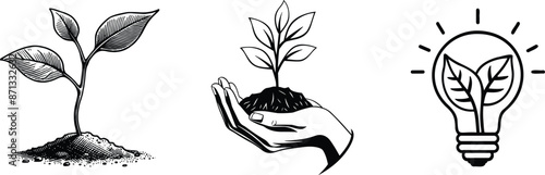 Set of sprout, hand holding sprout and light bulb, vector illustration. growth concept.