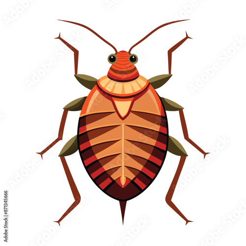 illustration of bed bug insect on white