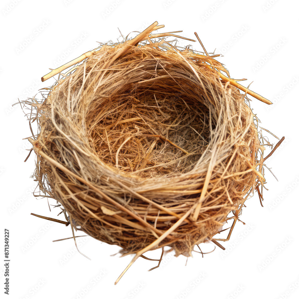Empty nest made of hay isolated on transparent background Empty nest made of hay isolated on transparent background