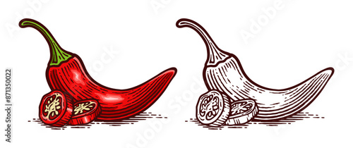 Hand Drawn Chili Pepper, Line Art Engraving Style Vector Illustration, Monochrome and Color Versions