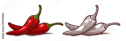 Hand Drawn Chili Pepper, Line Art Engraving Style Vector Illustration, Monochrome and Color Versions