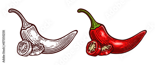 Hand Drawn Chili Pepper, Line Art Engraving Style Vector Illustration, Monochrome and Color Versions