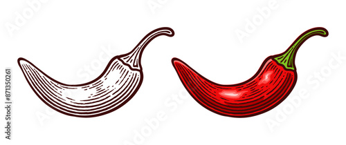 Hand Drawn Chili Pepper, Line Art Engraving Style Vector Illustration, Monochrome and Color Versions