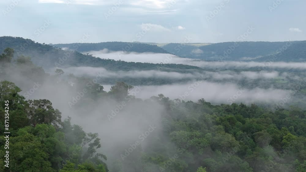 Aerial view of a foggy morning in Misiones Province, Argentina Aerial view of a foggy morning in Misiones Province, Argentina