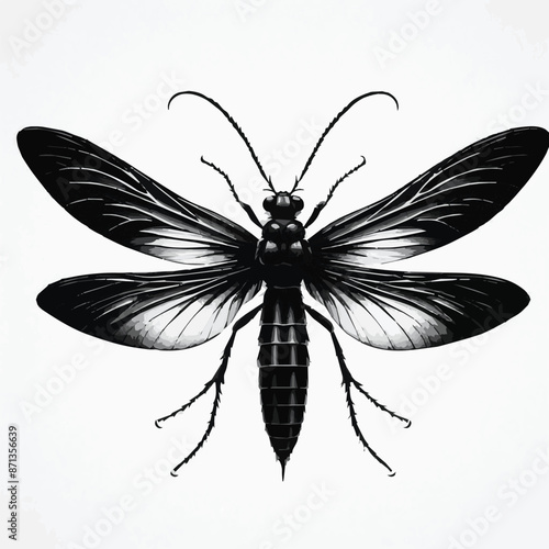 Black white realistic dragonfly, butterfly, bee silhouette vector art Illustration with full white background. Generative AI