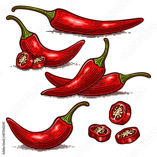 Set of Hand Drawn Chili Pepper, Vintage Vector Illustration Collection