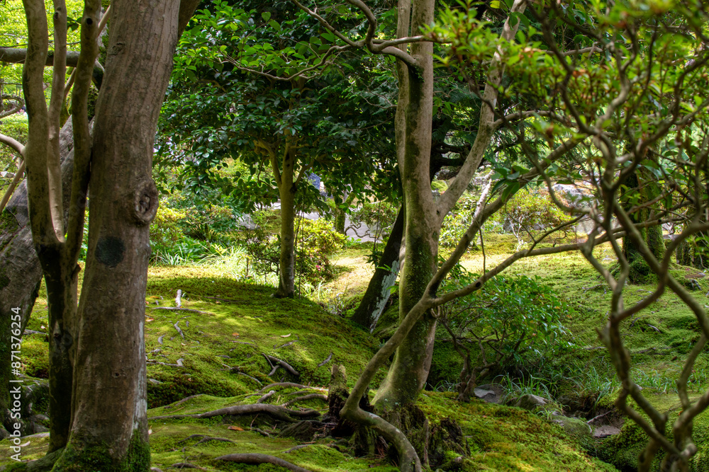 A beautifully maintained Zen garden in Japan. A beautifully maintained Zen garden in Japan.