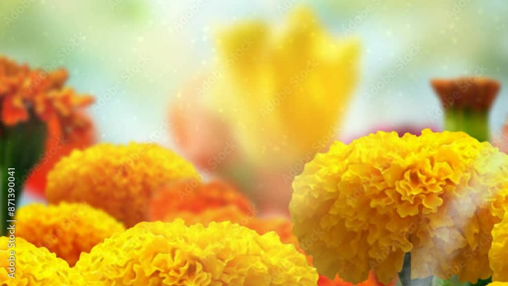 An animated close-up of a beautiful and lively marigold flower, showcasing its vibrant yellow petals and intricate details. Perfect for adding a touch of nature and cheerfulness to your projects. An animated close-up of a beautiful and lively marigold flower, showcasing its vibrant yellow petals and intricate details. Perfect for adding a touch of nature and cheerfulness to your projects.