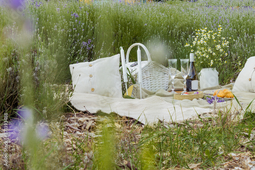 Summer picnic with wine and cheese in the lavender field, outdoors, sunset light