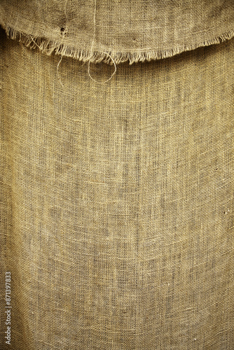 Esparto grass background