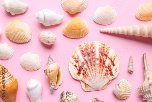 Many different seashells on...