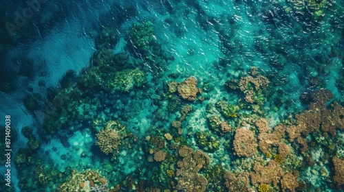 Fototapeta Naklejka Na Ścianę i Meble -  Aerial view of a vast coral reef system, vibrant colors and textures visible beneath crystal-clear water