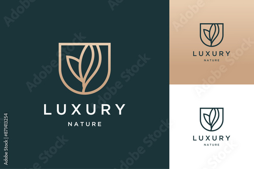 Minimalist plants and flowers, eco leaf protection and shield natural with a line logo design