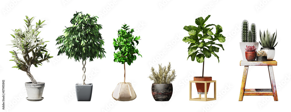 Fototapeta premium Plant set in vase isolated on white background.3d rendering with PNG File