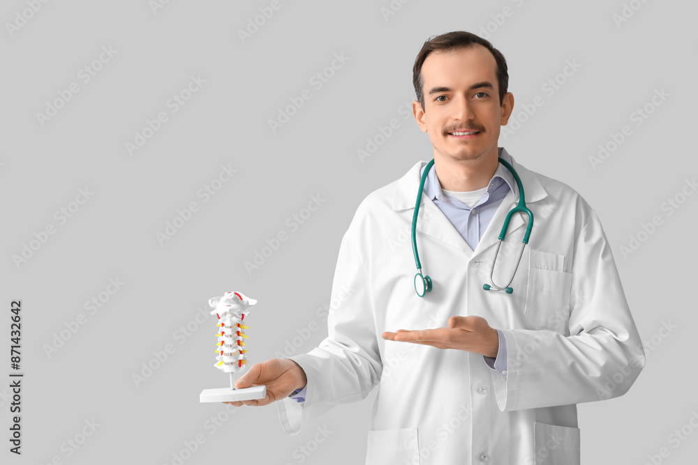 Male doctor showing spine model on grey background Male doctor showing spine model on grey background