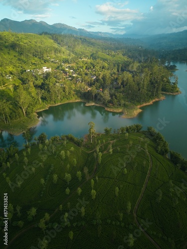 A big lake among patterned tea plantations, hills and mountains. Aerial view of Sri Lanka nature
