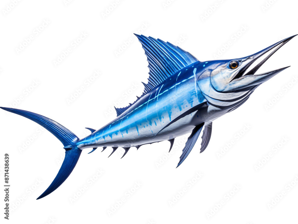 a blue fish with sharp fins a blue fish with sharp fins