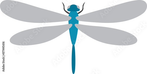 Dragon fly illustration