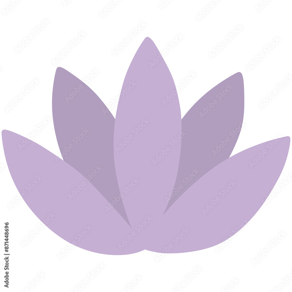 purple lotus flower purple lotus flower