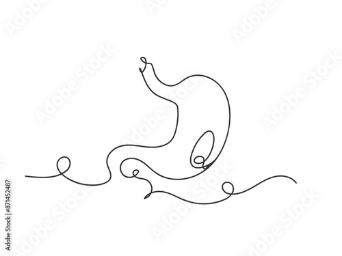 Continuous one line stomach isolated vector illustration.