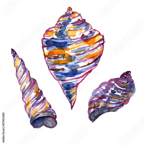 Watercolor hand drawn illustration of seashells in blue color with spots. Blue mollusk and queen conch. Underwater strombus gigas in cartoon style. Design for covers, backgrounds, decorations. photo