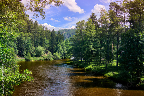Wide river flowing through a dense green forest on a sunny summer day with a blue sky and white clouds