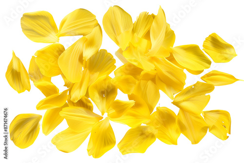 yellow petals isolated on transparent background