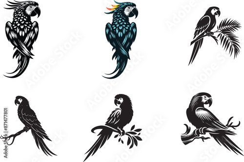 Parrot silhouette vector illustration