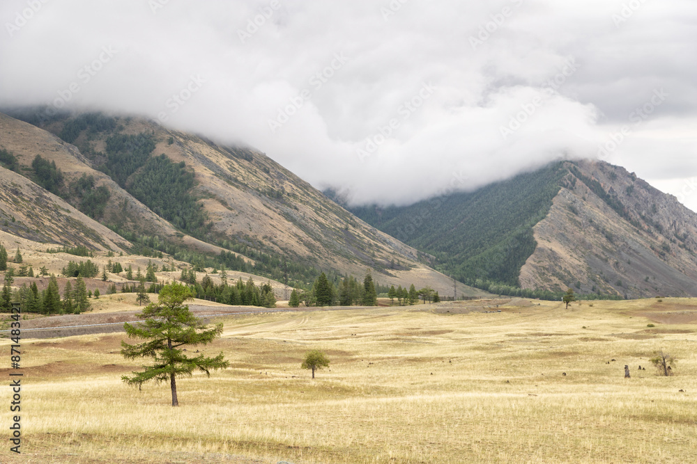 Cloudy weather in the Altai steppe Cloudy weather in the Altai steppe