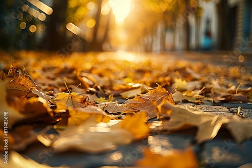A close-up shot of autumn leaves scattered on a peaceful alleyway, bathed in the warm glow of sunlight © Elmira