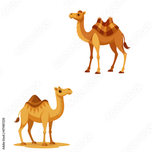 camel illustraion vector