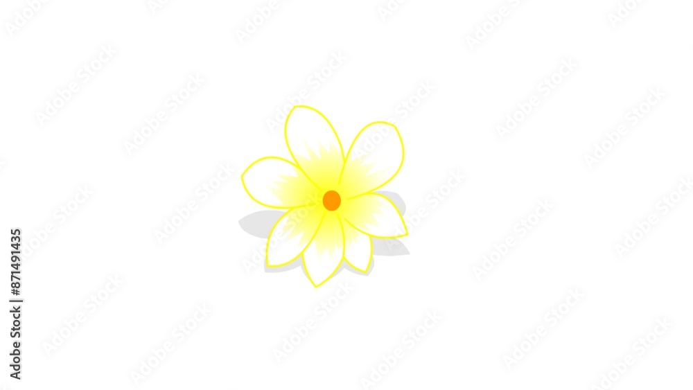 custom made wallpaper toronto digital Animated Floating Flowers