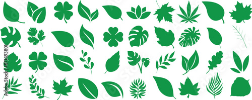 Green leaf icon illustration set, diverse plant leaves, nature botanical collection vector design, eco friendl natural foliage patterns, tropical, deciduous, various shapes, environment greenery