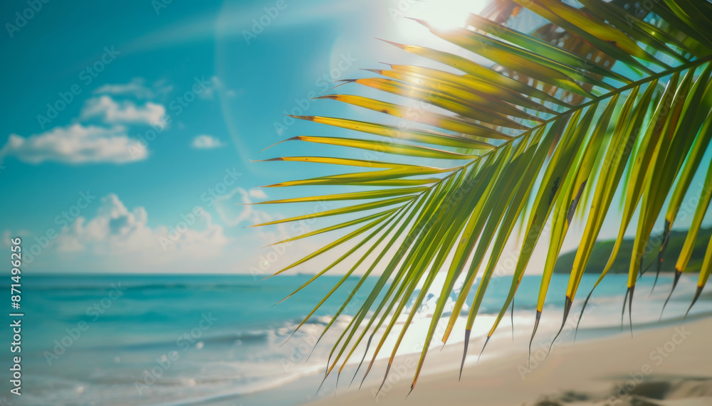 Palm Leaf Silhouette Against a Sunny Beach Palm Leaf Silhouette Against a Sunny Beach