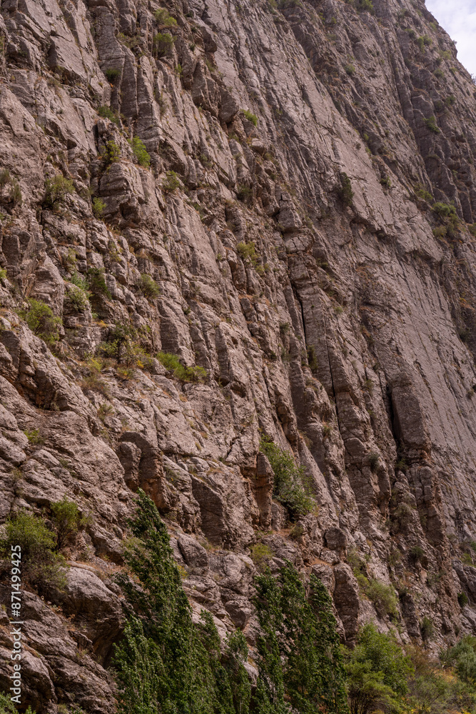 A rocky cliff with a few plants growing on it A rocky cliff with a few plants growing on it
