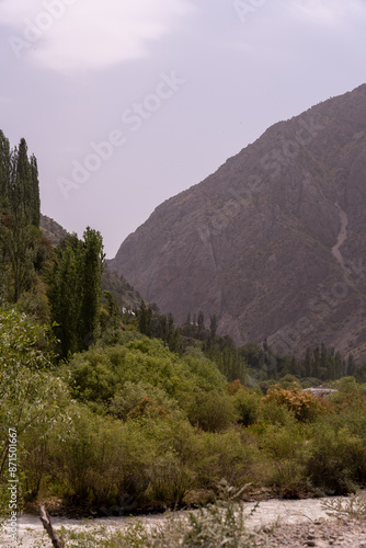 A mountain range with trees and a river photo