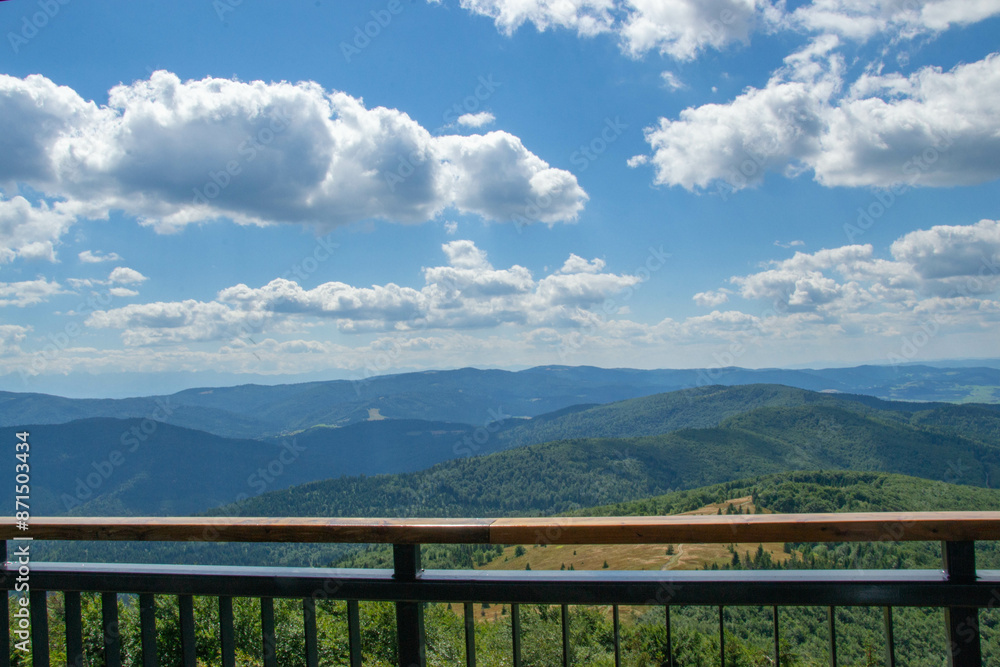 Green forest natural landscape on the mountain in summer. Green forest natural landscape on the mountain in summer.