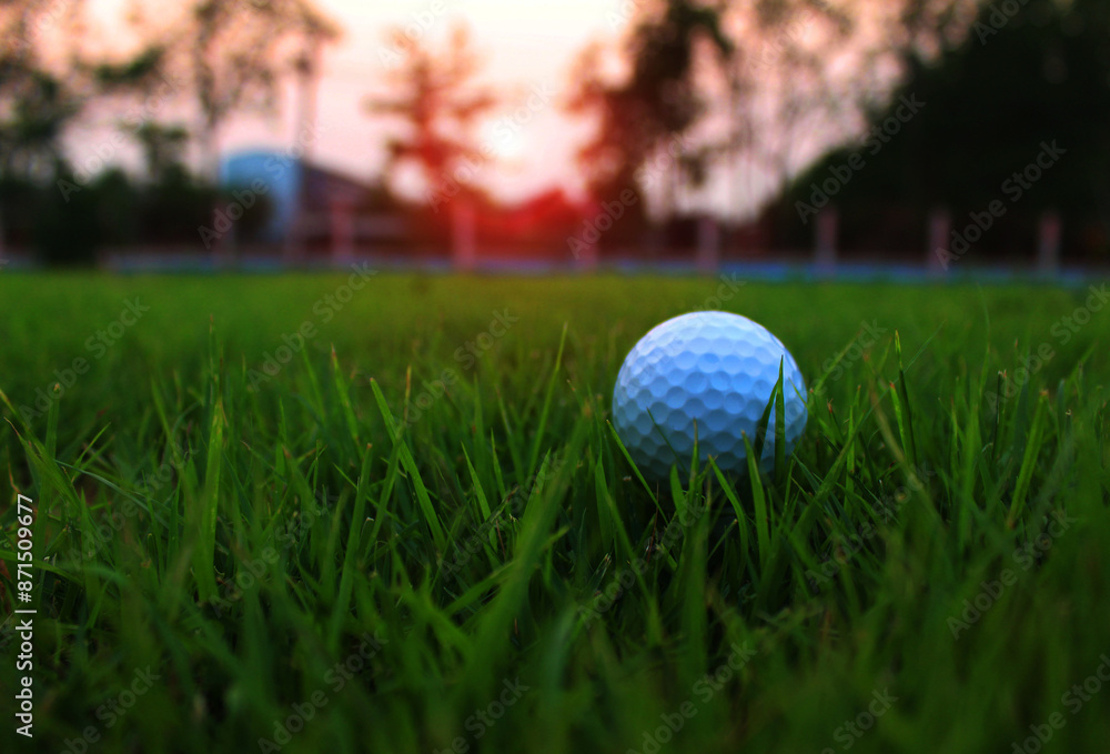 Obraz premium The white golf ball on the green.