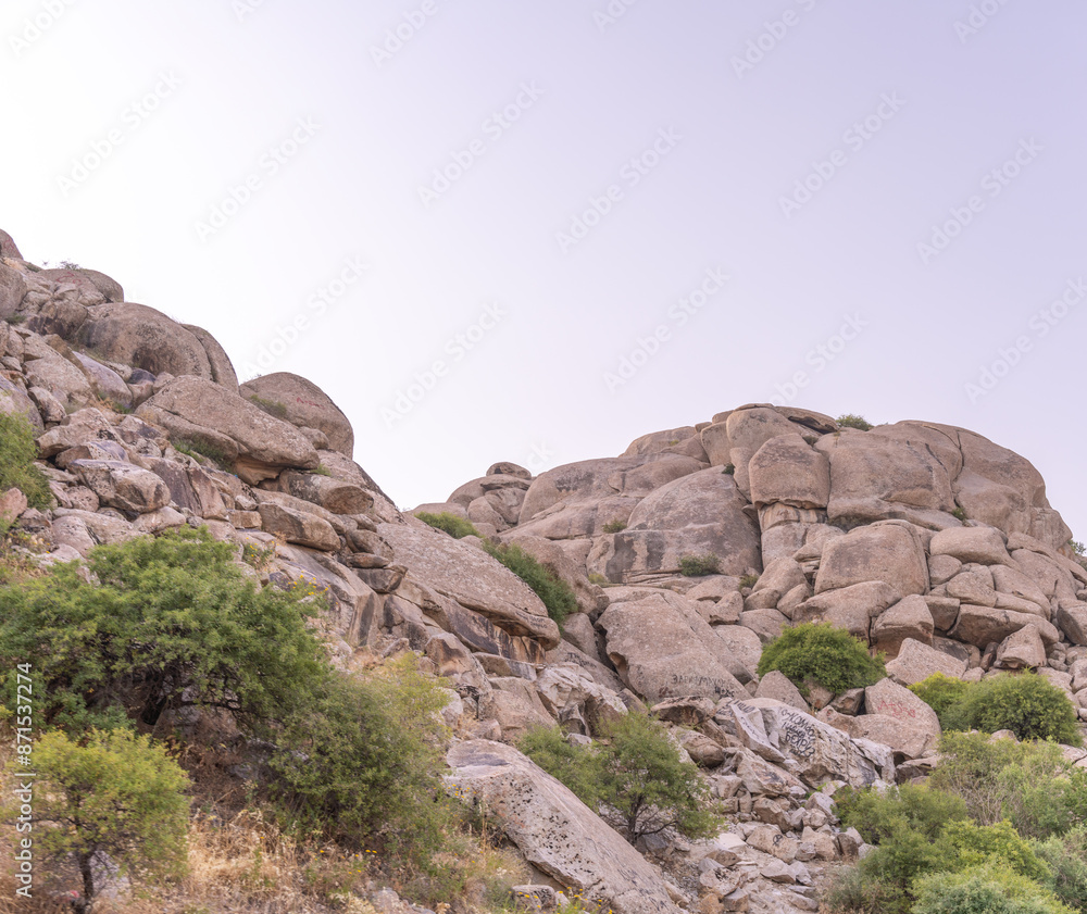 A rocky mountain with a few trees on it A rocky mountain with a few trees on it