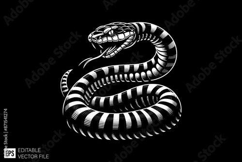 Illustration of snake vector design