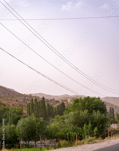 A rural landscape with a fence and trees photo